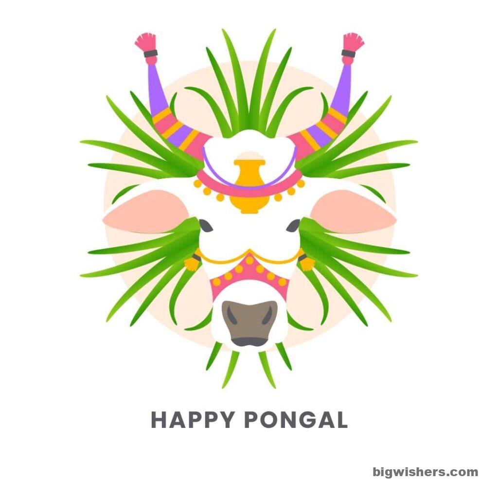 Caw with grass buttom written happy pongal