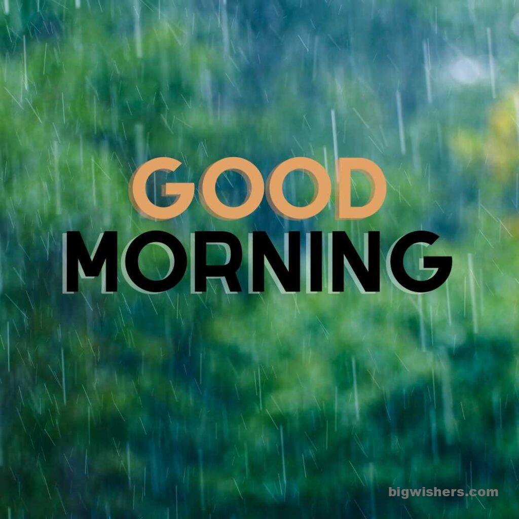Green nature with drop of rainfall good morning message