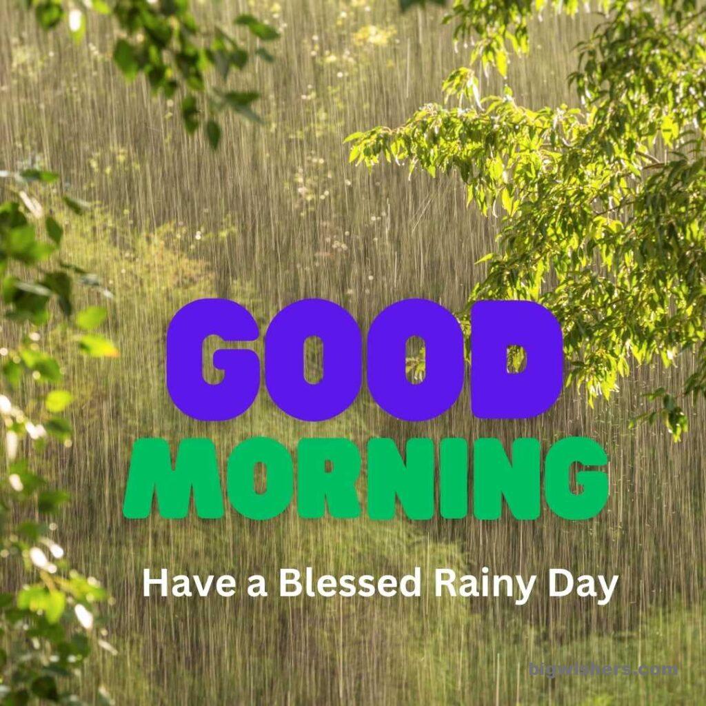 Rainfall good morning on beautiful scenery have a blessed rainy day