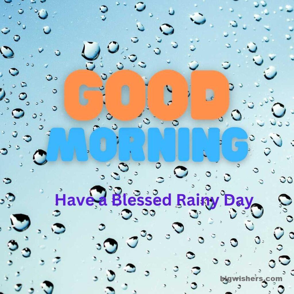 Beautiful raindrops with good morning have a blessed rainy day