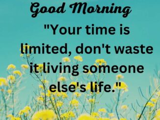 14+ Best good morning images with quotes 1 Good Morning message with quotes Your time is limited, don't waste it living someone else's life.