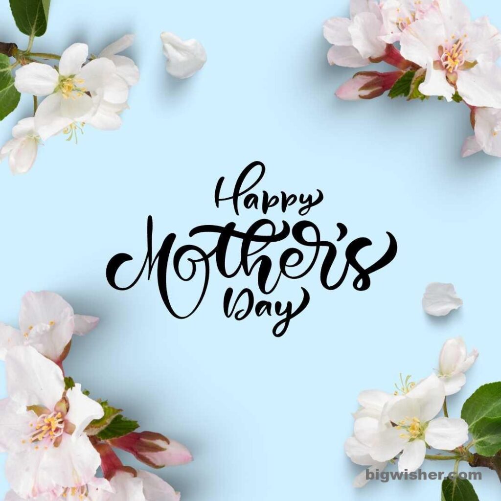 white flower and blue background with happy mothers day